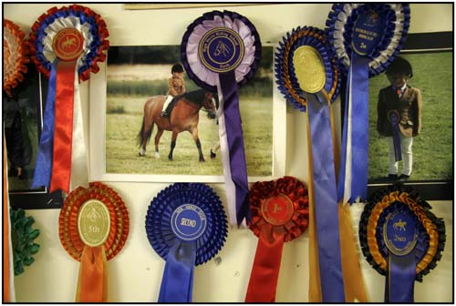 THE BRITISH HORSE SOCIETY AND THE PONY CLUB.